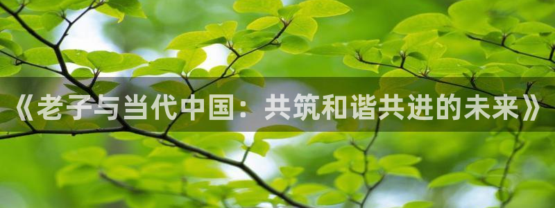 伊人影院6：《老子与当代中国：共筑和谐共进的未来》