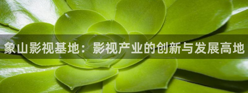 伊人影院最新