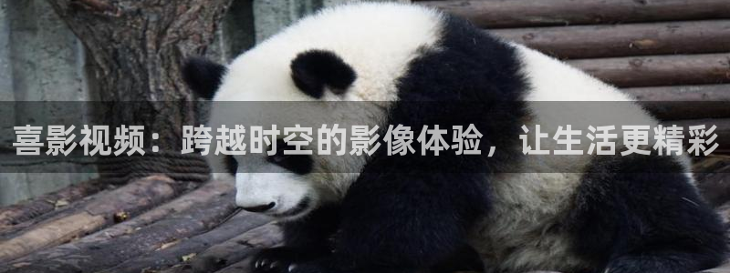 伊人影院aa