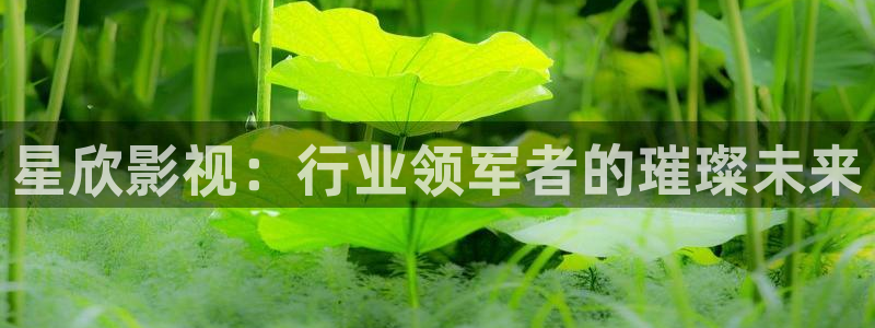 伊人影院25